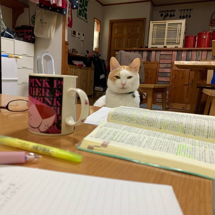 6c280461 6ec2 4934 82b6 c9e9a493b515 1586674150962