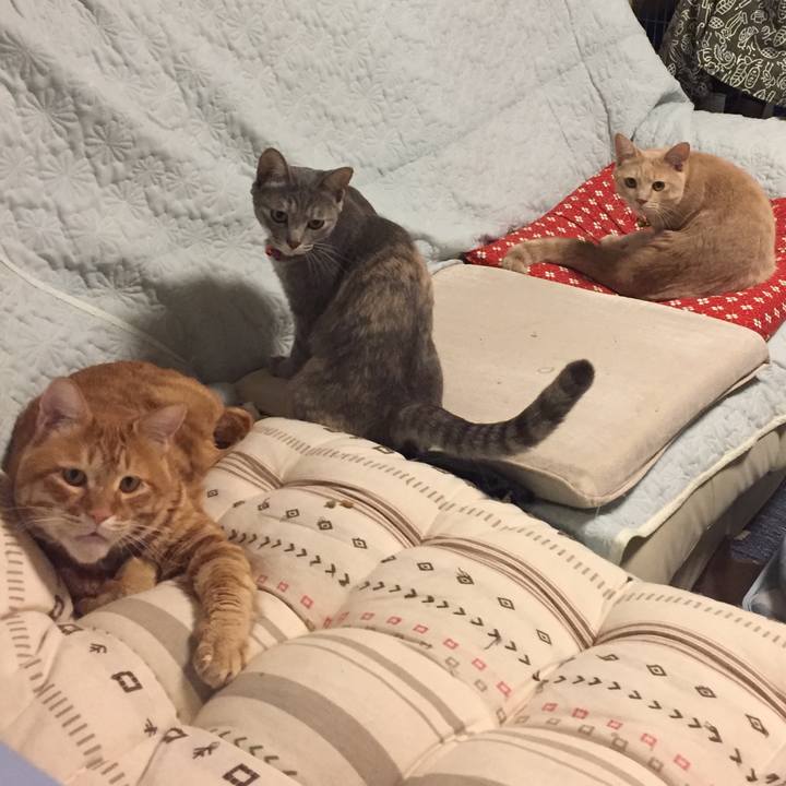 6c28112d e484 4b63 aba5 a6b7520c97dc 1564834282066