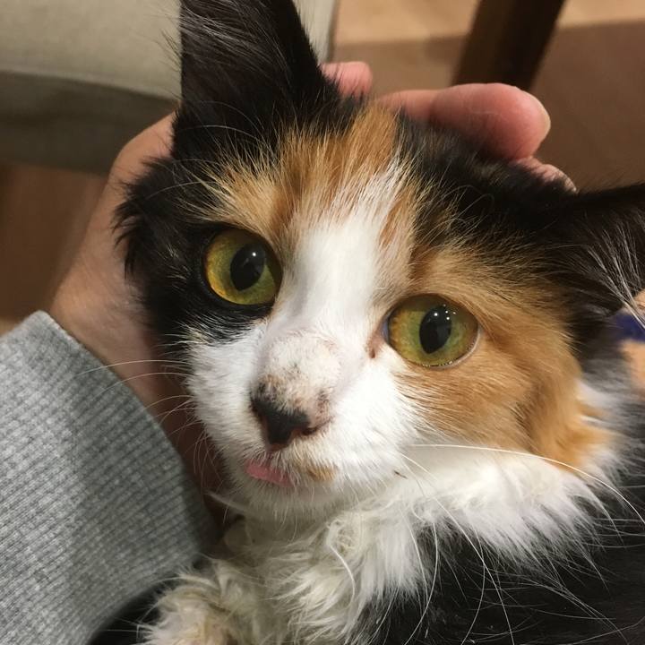 6c281e54 40db 41e4 aa42 b9086b9d6103 1508163861084