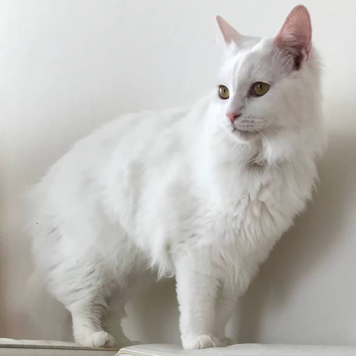 6c285fe9 3edf 4ad4 8dd8 c4d750a5b318 1531283152570