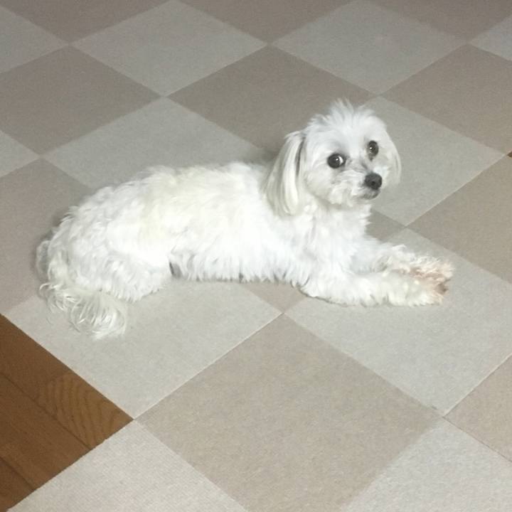 6c287958 e594 4628 ac2a e1a712c6d0d9 1524223312297