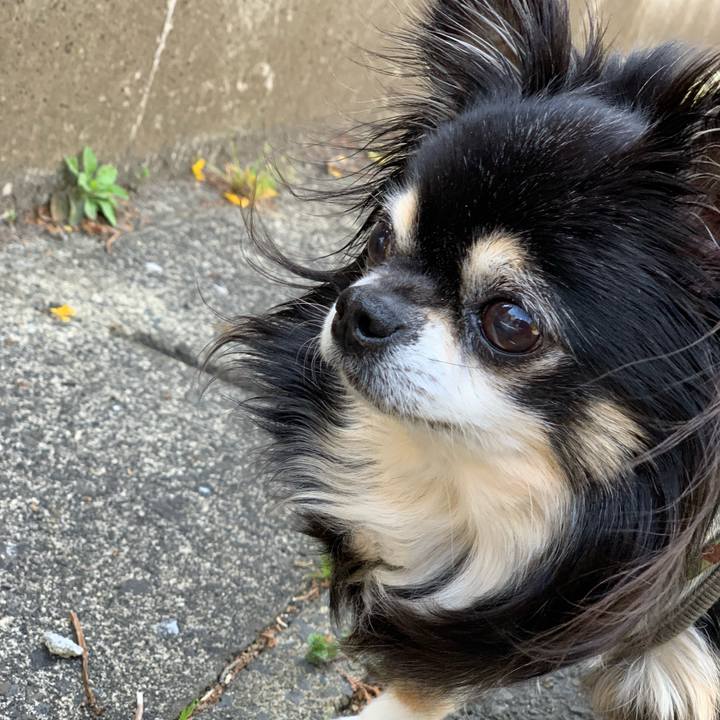 6c288709 4f67 487f 8c34 e1bb07609310 1556516899014