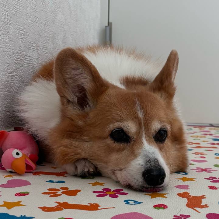 6c2898b2 69e8 47e0 8fa0 1b846915a597 1749267131355