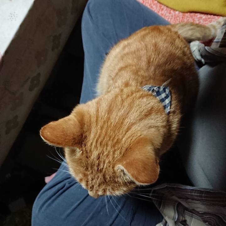 6c28b7b9 d61f 4b6b bc51 57650a7f71b9 1573638825721