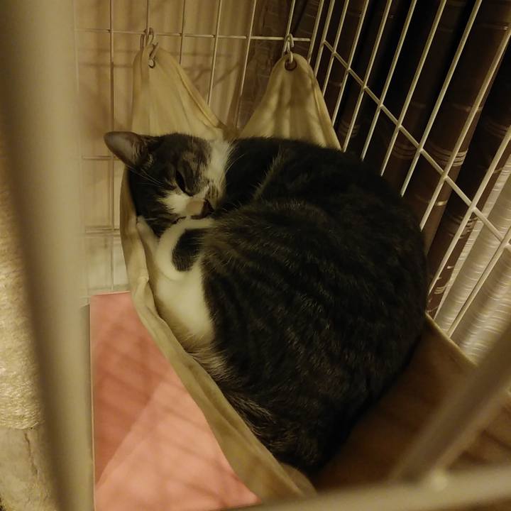 6c28e119 402d 4908 87d1 2baeda712e2e 1575563713396