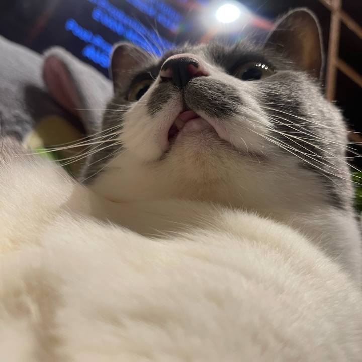 6c28faff 1b72 480b b57f 1df605f1d62d 1746975471663