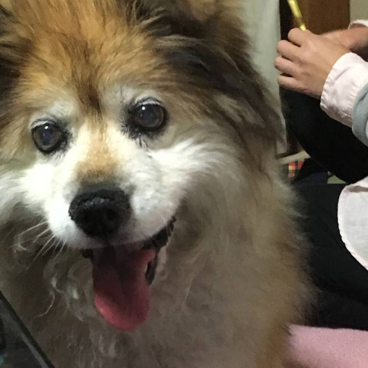 6c29269d 5fe2 4dab 9738 4634366b14b6 1594988155280