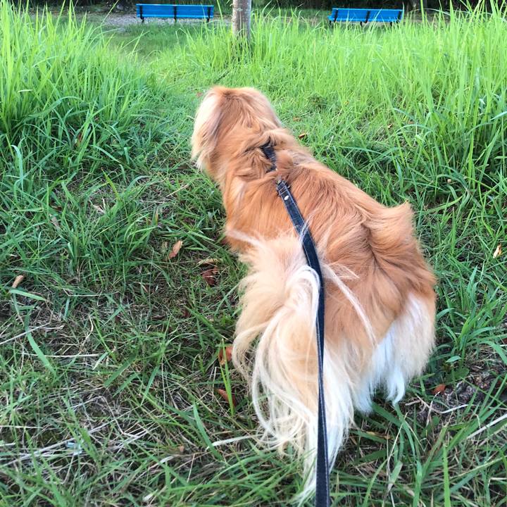 6c296f80 f823 4db6 a695 e51f0486b1f5 1532290557131