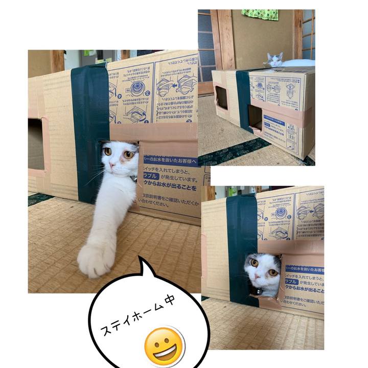 6c29b756 8237 496f 8f5e 101c5634992b 1590311241516