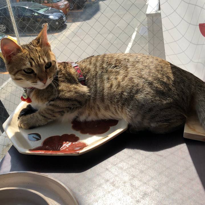 6c29c553 6340 400a 9e51 30bf603128a6 1585804926569