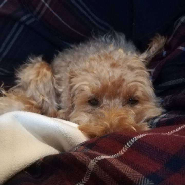 6c29c7b9 a27a 4457 b02b b7746015831d 1550148456745