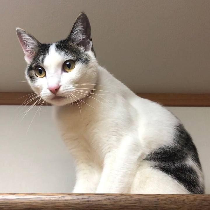 6c29f825 dec2 4107 95f7 b7f693365008 1587381669360