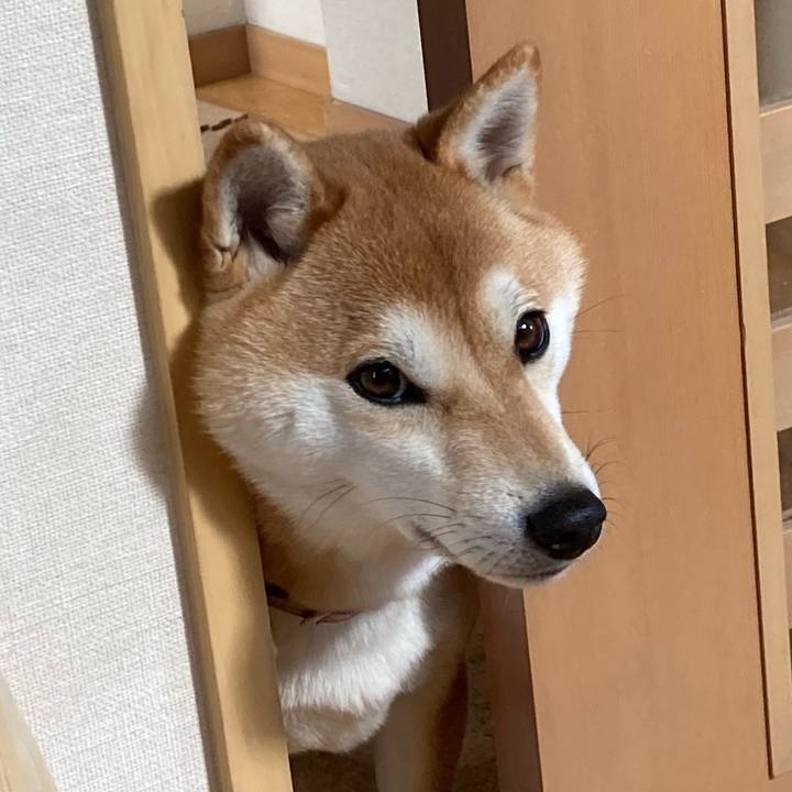 6c29fb8a b617 452a 9e62 1e5a7dc93a71 1676941296939