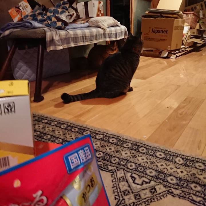 6c29fea0 17c4 47cf 904b 4d0e58e667c8 1642068679010