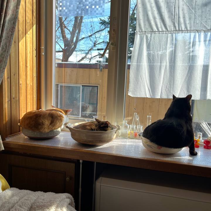 6c2a0aad ee7d 48b2 b9c9 eda79f328131 1701055904067