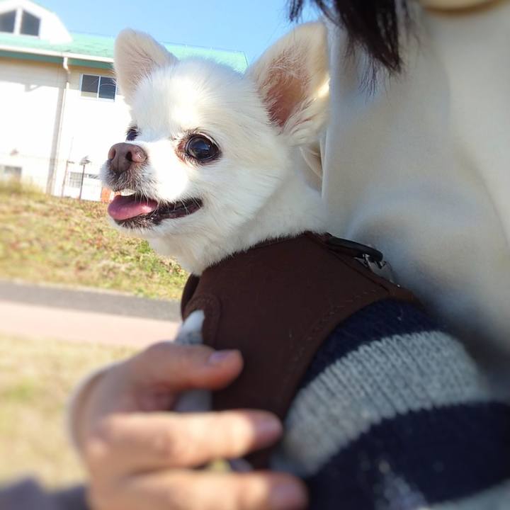 6c2a163c b005 4808 aca2 de0600fb28c6 1675001354565