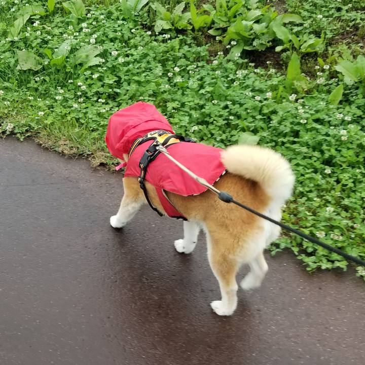 6c2a5ae5 aadc 4478 8ec3 d3883bc46495 1685686993060