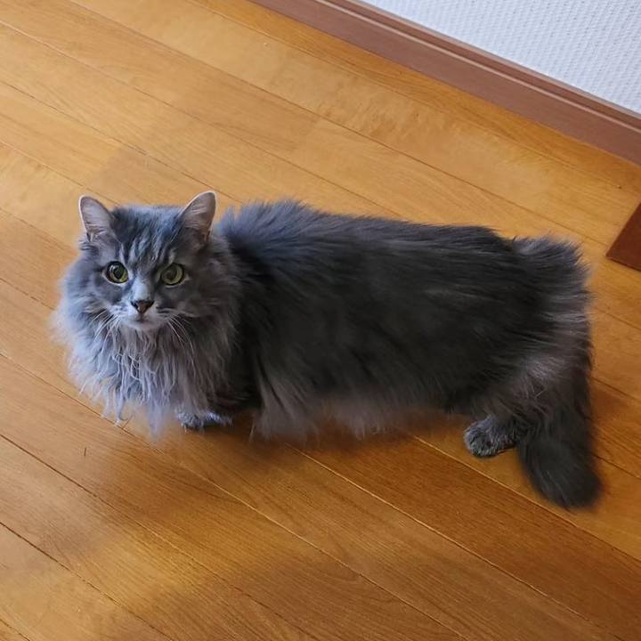 6c2a68d0 dcce 4951 8ff4 8e5231646ae7 1706615746034