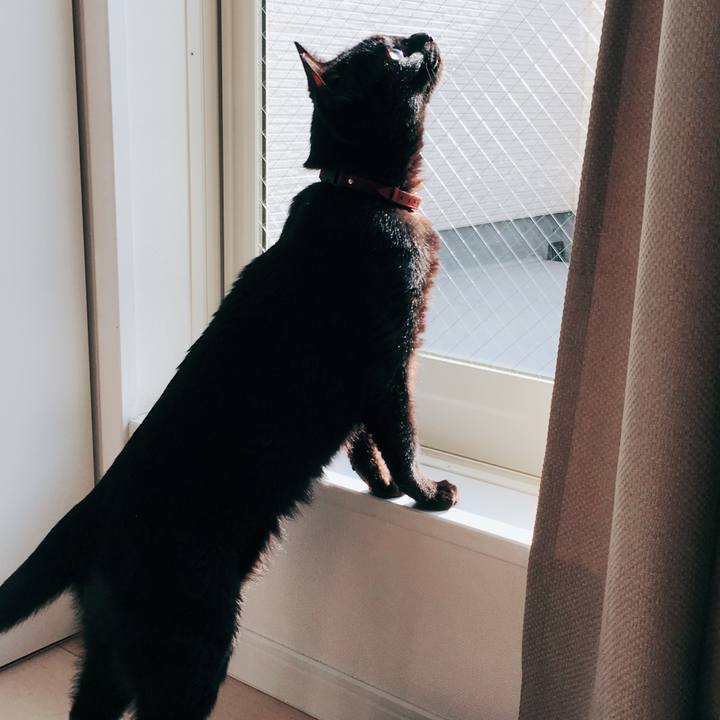 6c2a7b0b c68d 4d39 9edd 1d5acfd94539 1525131578376