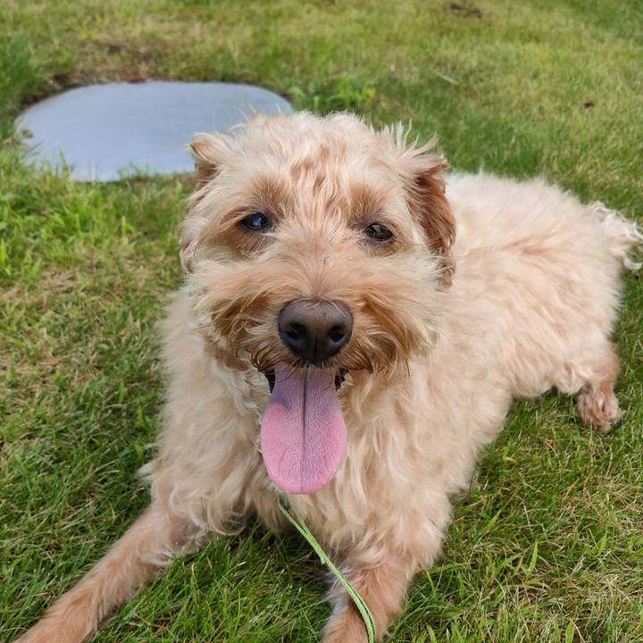 6c2ab407 82fd 4987 a471 cfb837e56bdf 1599280152098