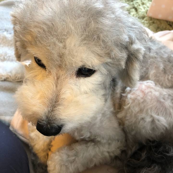 6c2ae500 9bd7 473d ae83 4edaee8299a0 1529364812064