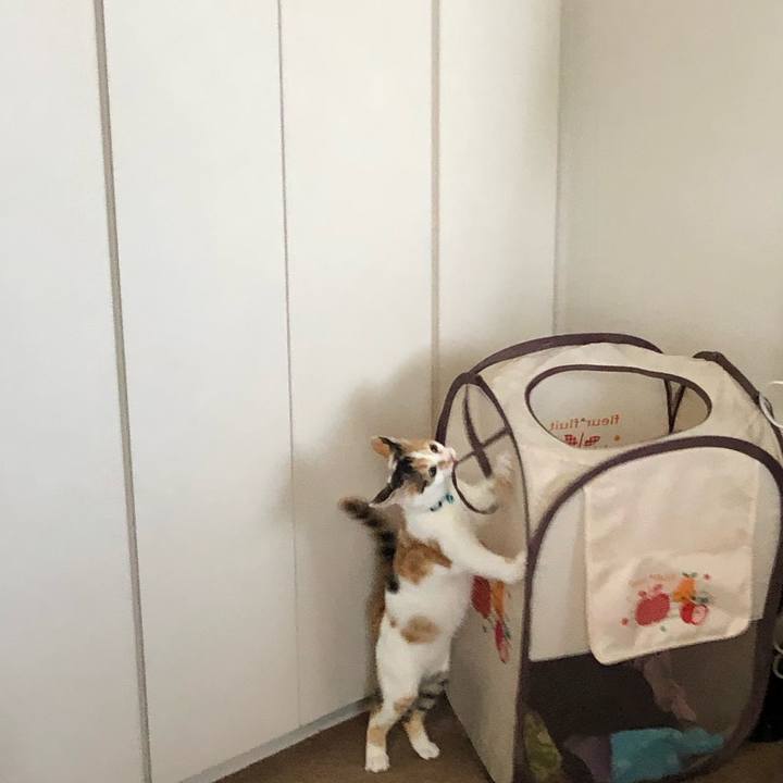 6c2b1c42 b05a 47a5 8c8c 8a213a252f0c 1567380694622