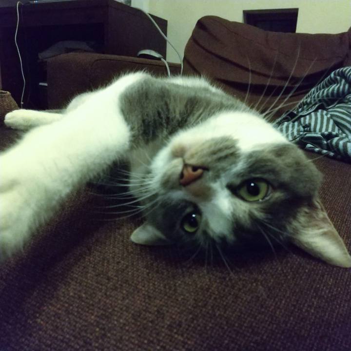 6c2b1eb1 22c9 4b9b afe4 27cbb3580945 1628597095943