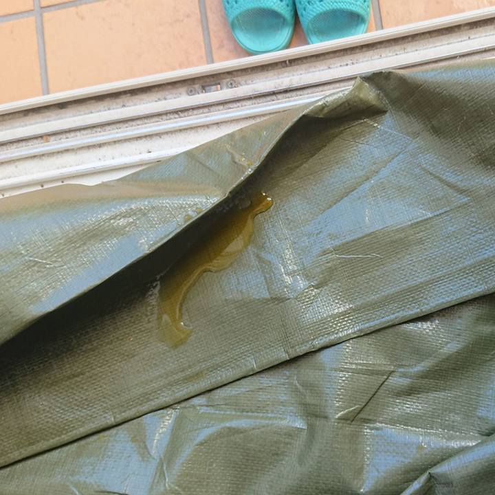 6c2b4412 8ad7 4bc8 81b2 c969be6c6357 1570946069529