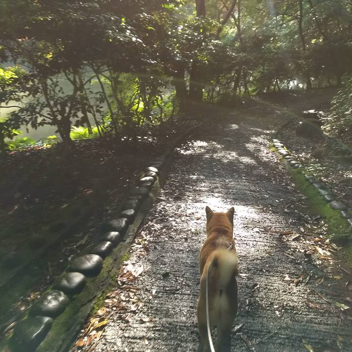 6c2b570c 6f48 47e2 b7ec 5457ebeeaf5b 1526265698224