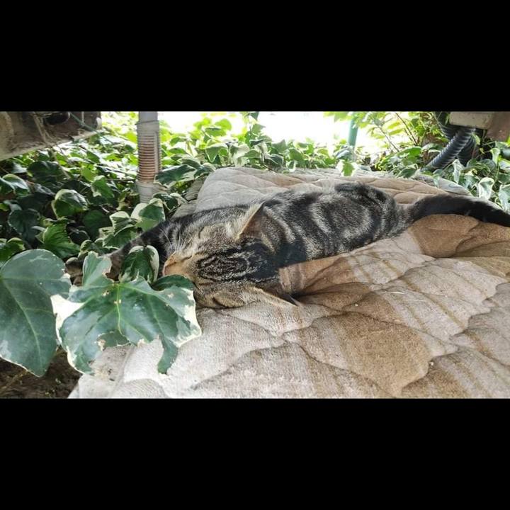 6c2b6e75 5f95 438f 9902 72f9da69439a 1631412413547