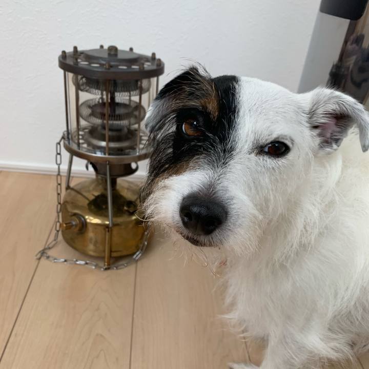 6c2bab2e 7020 49c8 b683 42d00fcb6b6f 1628917975591