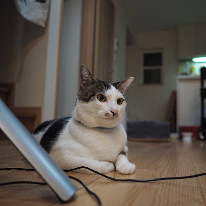 6c2bd282 195b 4ea2 a716 c5355341cc63 1534203617623