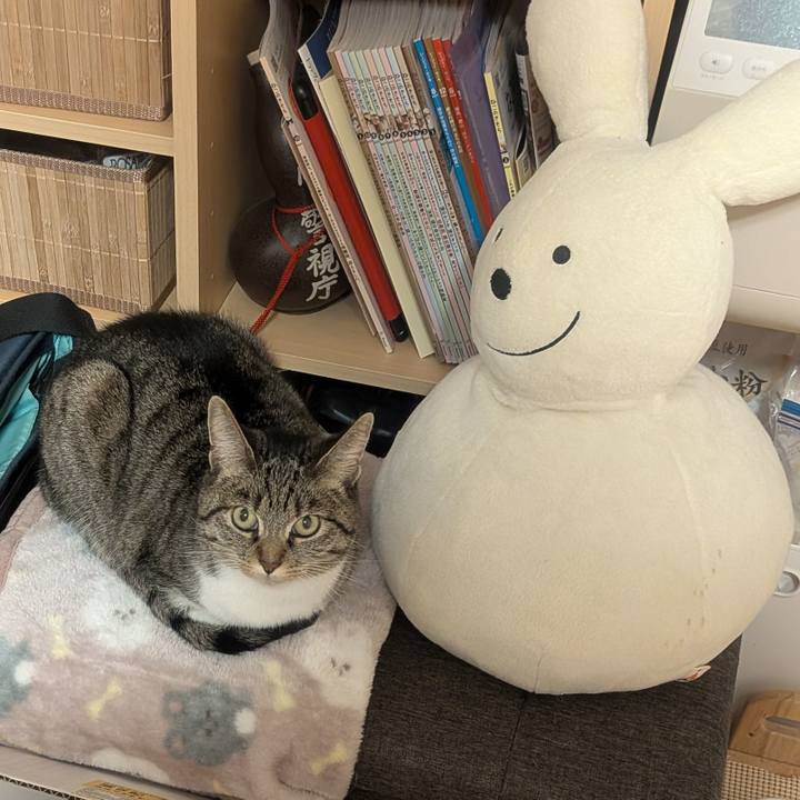 6c2c5e5e 1d2d 45a0 ae98 91eb4b3df245 1767886192862