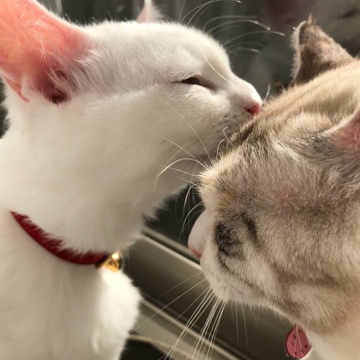 6c2c8286 16fb 466b b28e 93e7897e1e4c 1511660053937