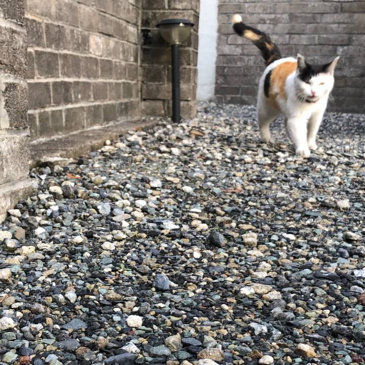 6c2ca90d f041 4483 94e6 6a3cd2132be4 1617142503877