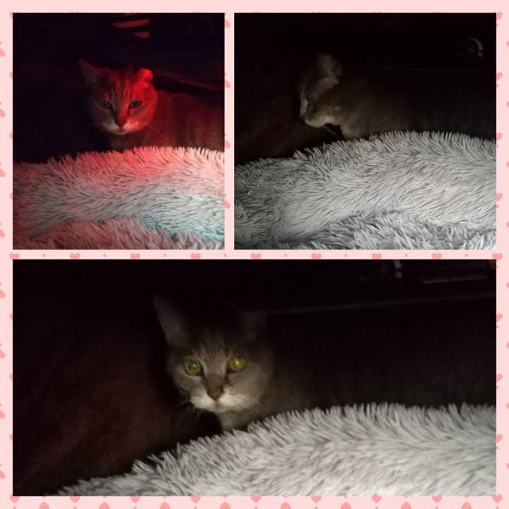 6c2cb8f3 c9c0 40a5 a14f b60e756aa374 1667108757371