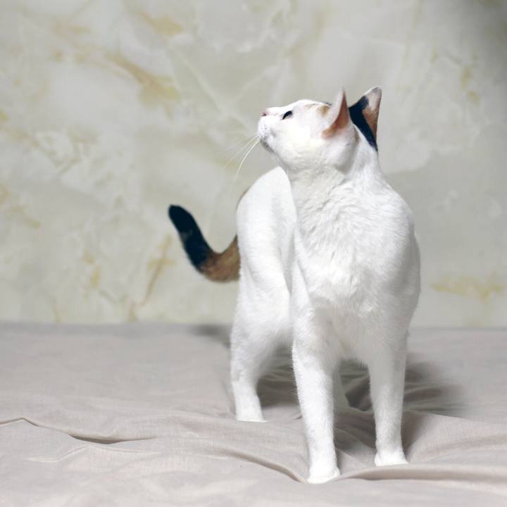 6c2ce823 d06e 449c ba53 03a163a53a70 1631707527314