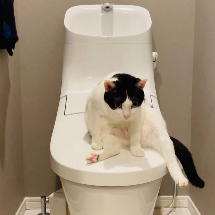 6c2ceb92 ccfa 4bc3 b79e 378c314ce363 1634897502123