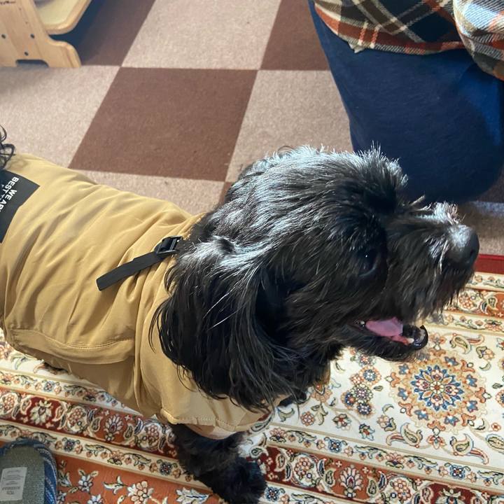 6c2d5ba4 552a 4e88 9344 152b4d3a3a67 1670070630525