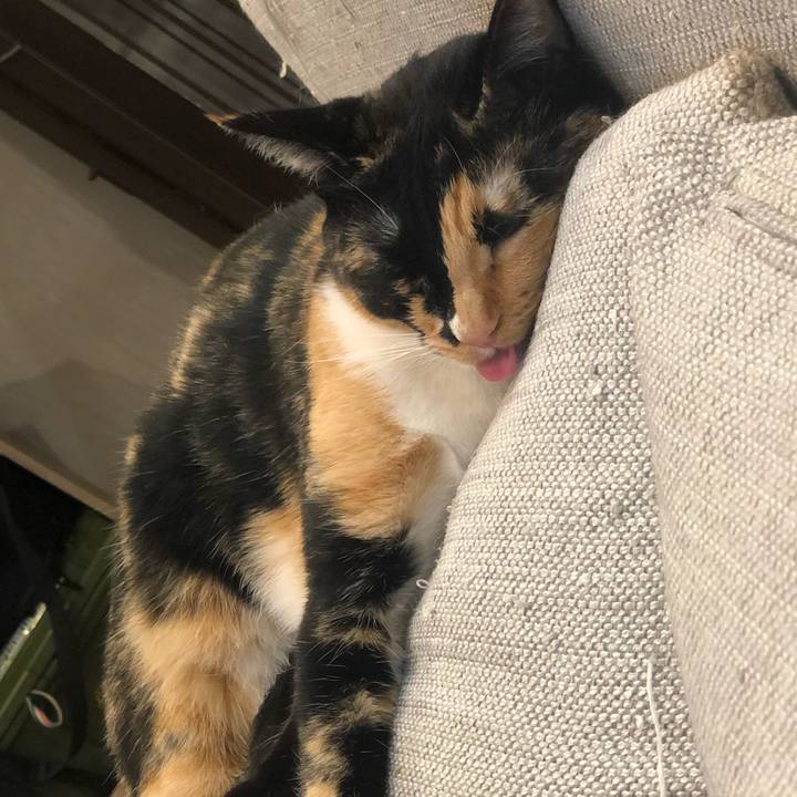 6c2d68b9 d691 40de 9803 5530efe28696 1661119362973