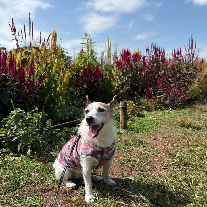 6c2d6f46 2b03 469c 9619 2185f0674cf3 1759017594234