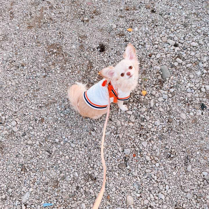 6c2da40a 1a9d 436b 9359 cd19d02f4e19 1662976074302