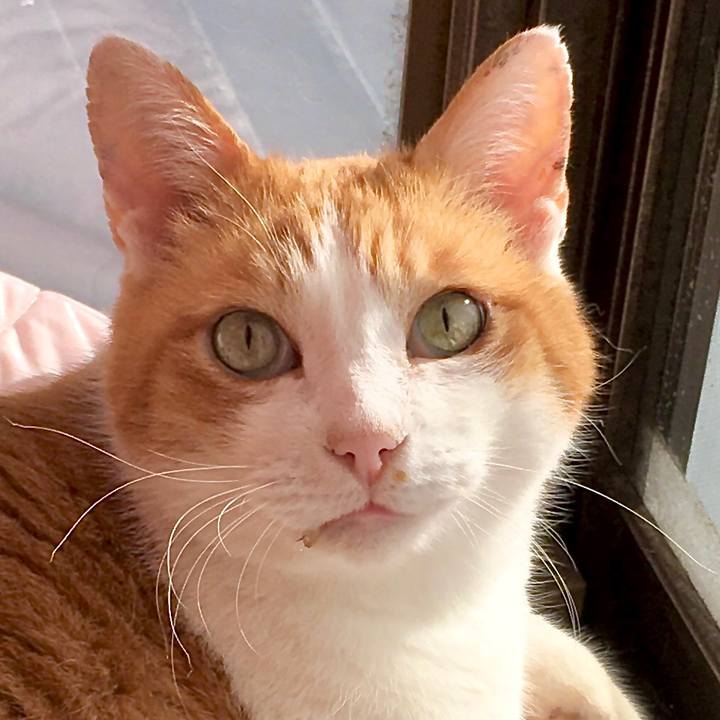 6c2daf4c e56d 482d b7f5 9ff4560c1642 1580194861418