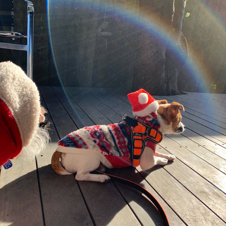 6c2db376 f869 467d 9396 2feafe18c777 1545742117115