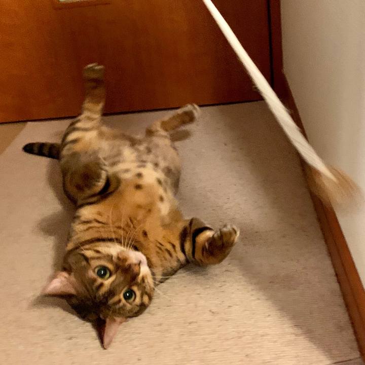 6c2db751 4cc5 4a75 8135 d9ce63b0257c 1565564604817