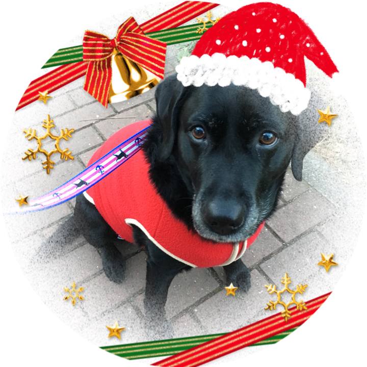 6c2dcaa8 3bcc 4ffb 8b71 9ab810d1776f 1514104178346