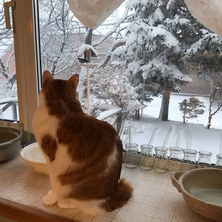 6c2ddbed edf5 457d 9b49 f6c421dde631 1580421610075