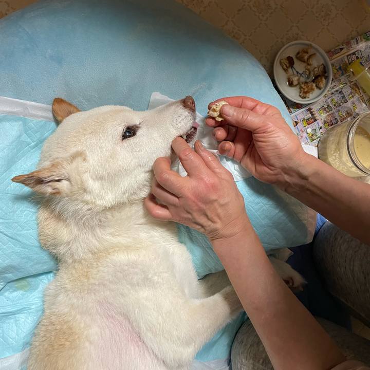 6c2de536 1fbc 43a5 8055 eaef421393d2 1680094837428