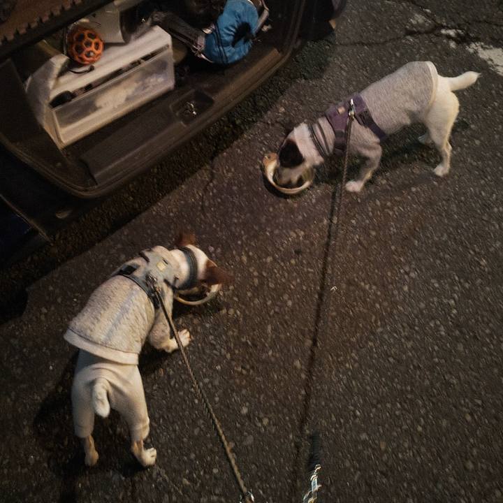 6c2decae 5186 4010 8c0c f7b67b5d4025 1762035766312