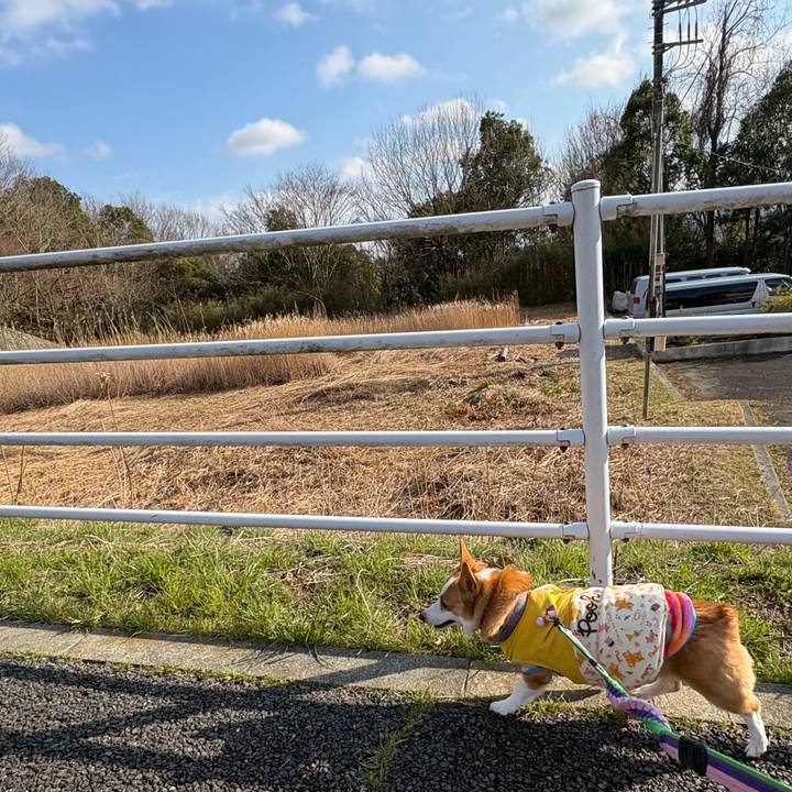 6c2e04e3 ae00 46fb 9e02 8326c718f9c4 1773125895634